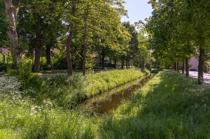 Foto 34 van Grutto 65