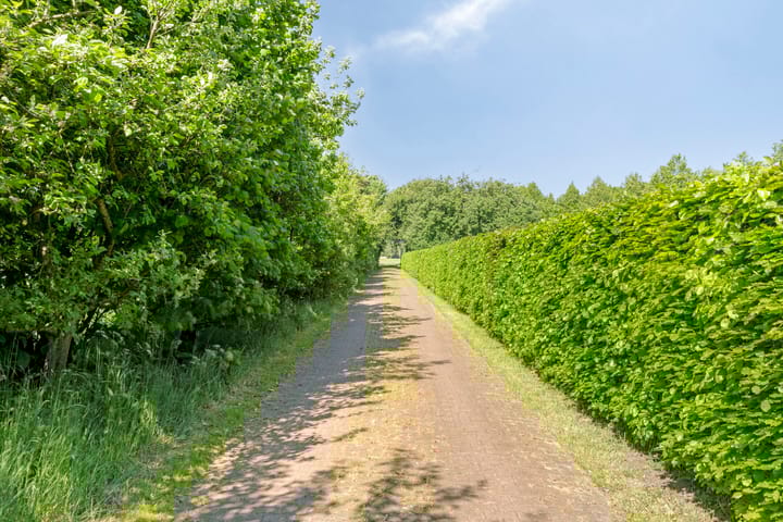 Foto 46 van Hanninkweg 26