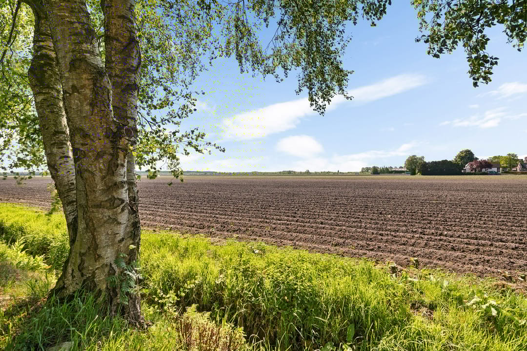 Photo 46 of Kamerlingswijk OZ 52