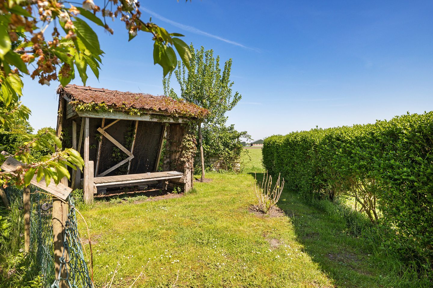 Photo 50 of Kamerlingswijk OZ 52