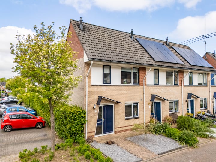 Foto 1 van Theodora Bouwmeesterstraat 19