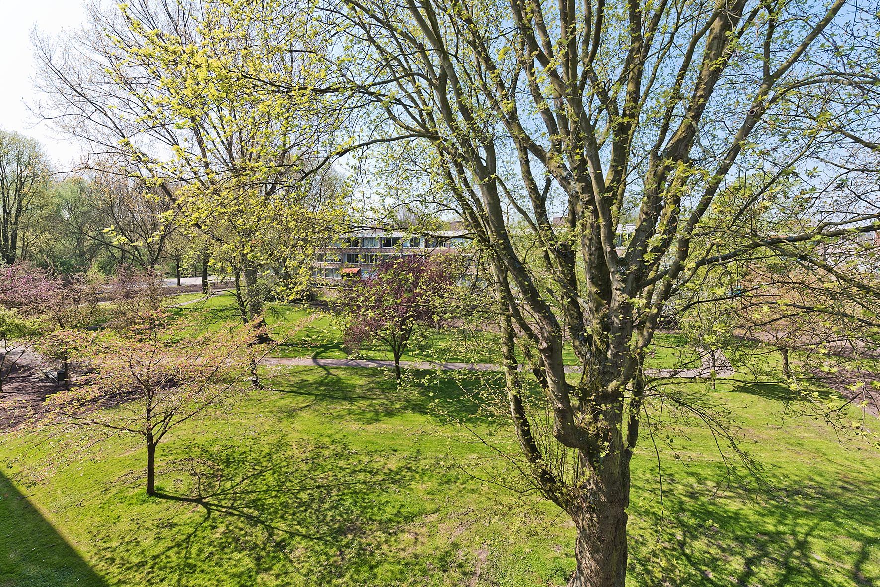 Foto 33 van Willem van Weldammelaan 66