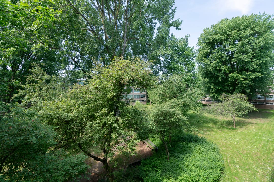 Foto 38 van Willem van Weldammelaan 66