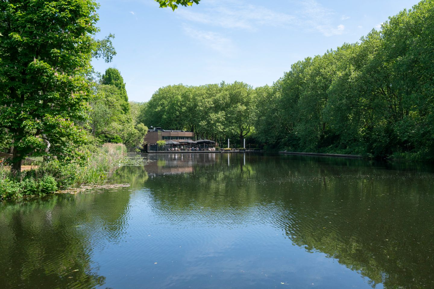 Foto 49 van Willem van Weldammelaan 66