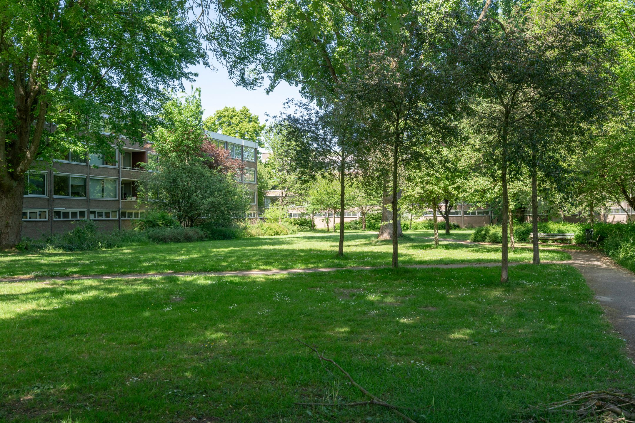 Foto 51 van Willem van Weldammelaan 66