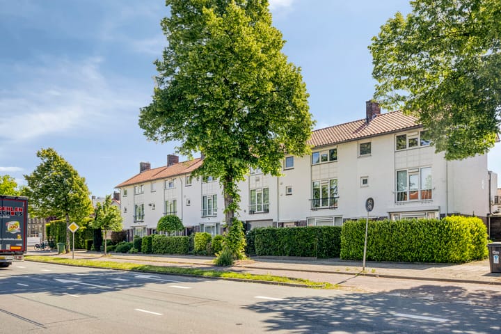 Foto 2 van Piuslaan 117