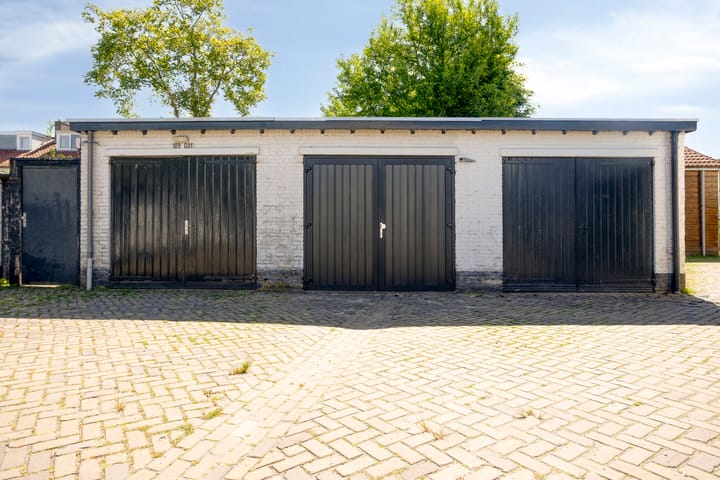 Foto 49 van Piuslaan 117