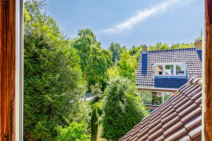 Foto 32 van Aasdomstraat 1