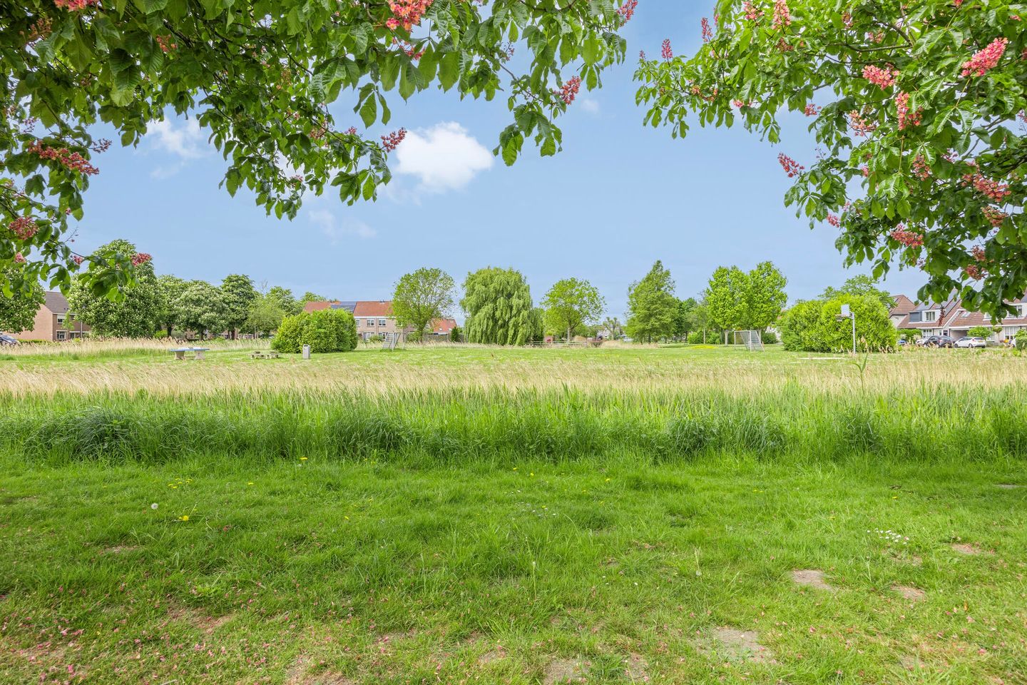 Foto 55 van Noorddonk 162