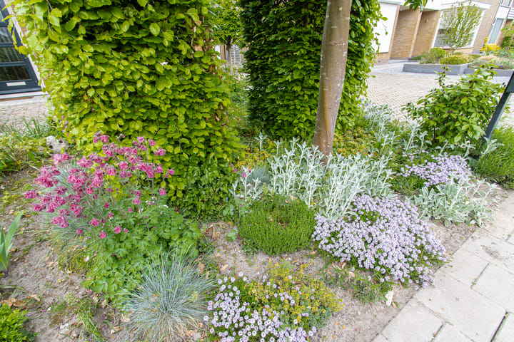 Foto 39 van Voompad 10