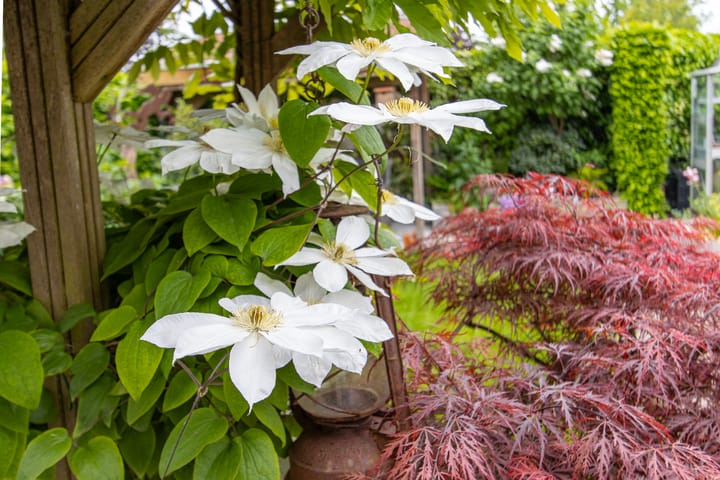 Foto 47 van Voompad 10