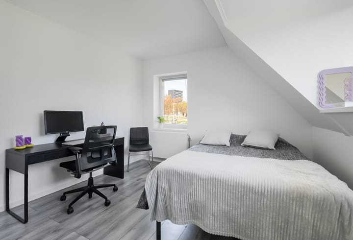 Photo 29 of Frankenoord 36