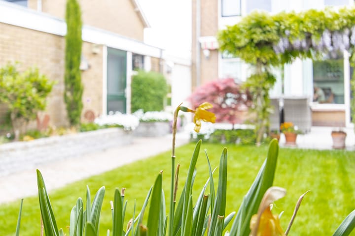 Foto 54 van Voompad 10