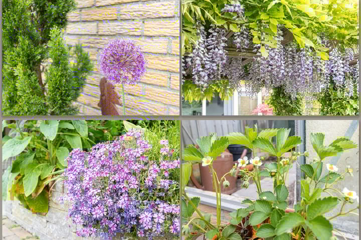 Foto 56 van Voompad 10