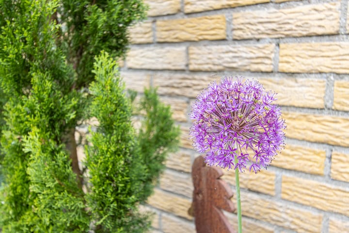 Foto 59 van Voompad 10