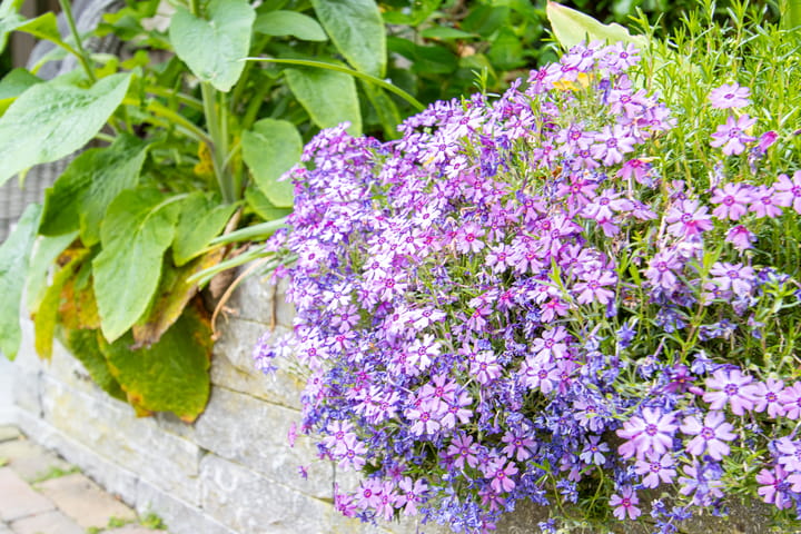 Foto 61 van Voompad 10