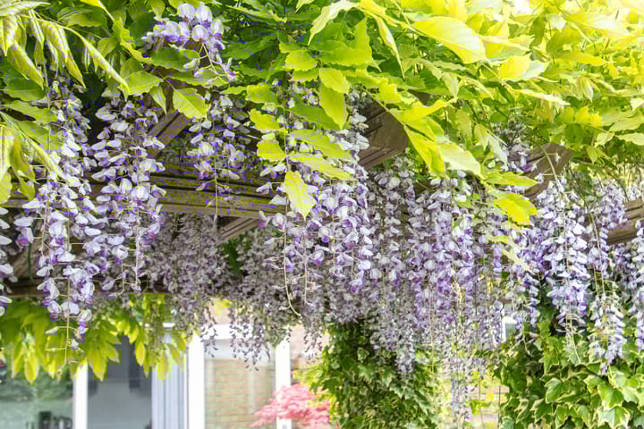 Foto 62 van Voompad 10