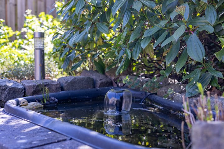 Foto 32 van Rijnstraat 5