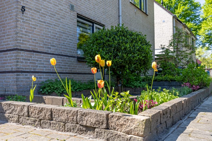 Foto 35 van Rijnstraat 5