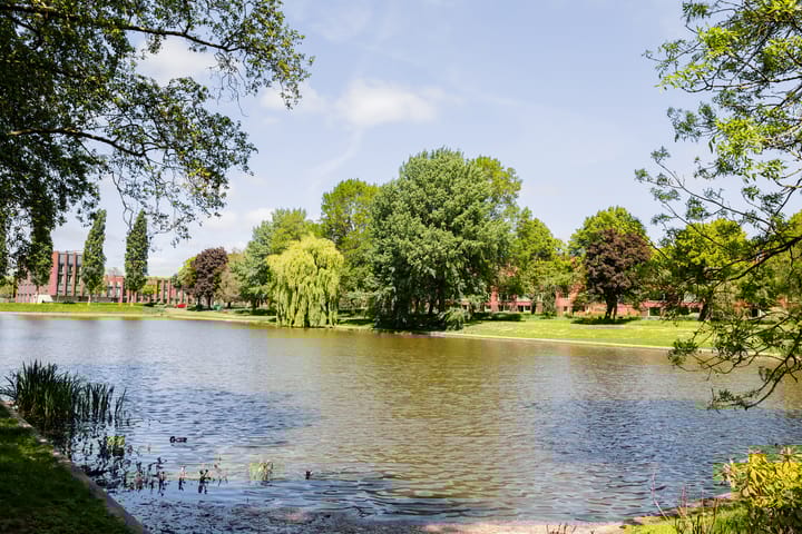 Foto 50 van Hyacinthstraat 227