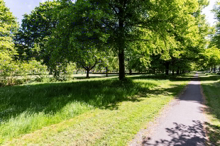 Foto 51 van Hyacinthstraat 227