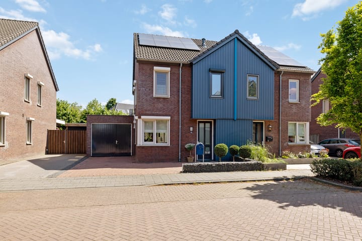 Foto 1 van Paardebloem 16