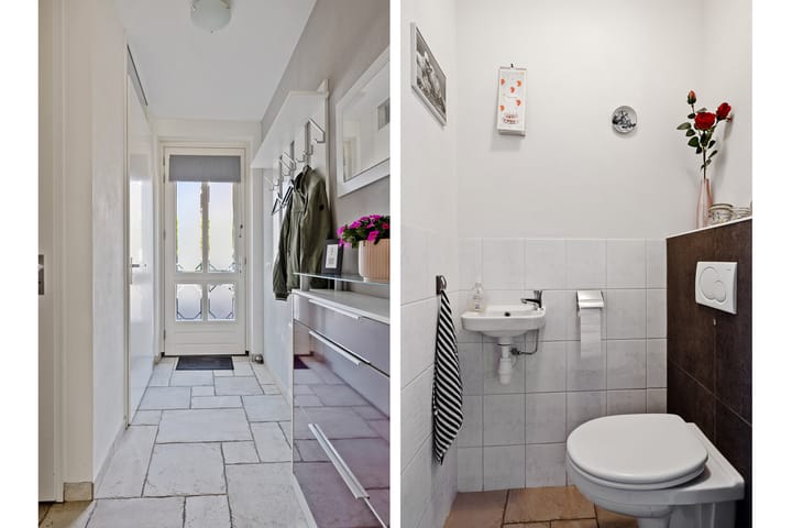 Foto 10 van Paardebloem 16