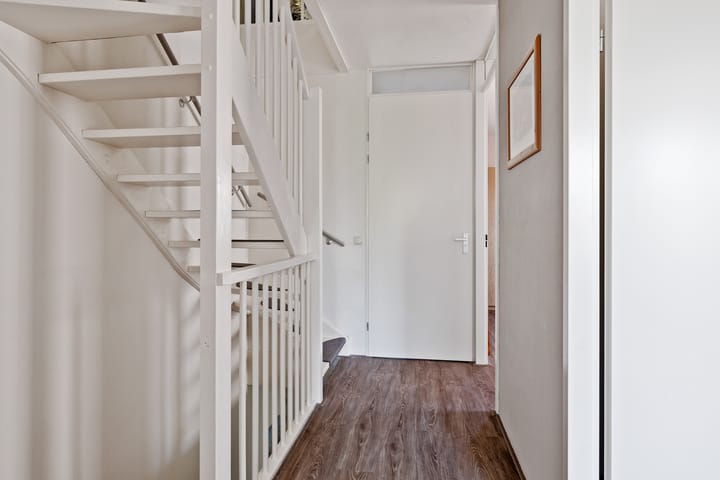 Foto 11 van Paardebloem 16