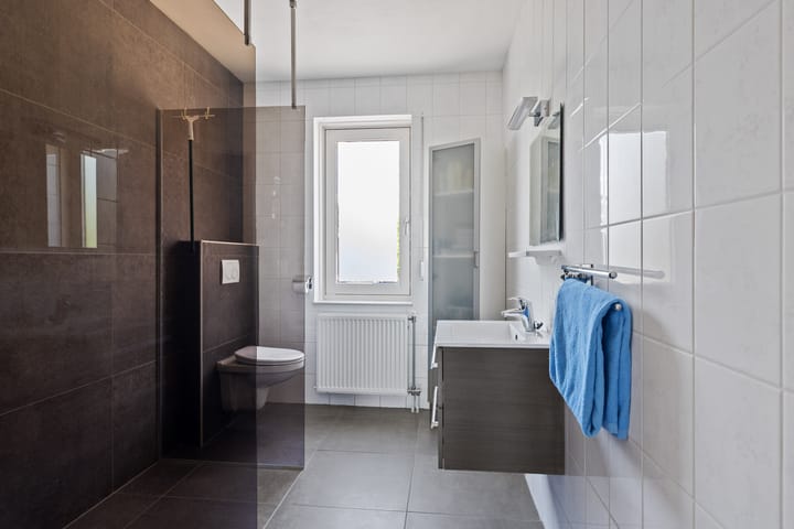 Foto 18 van Paardebloem 16