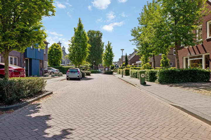 Foto 29 van Paardebloem 16