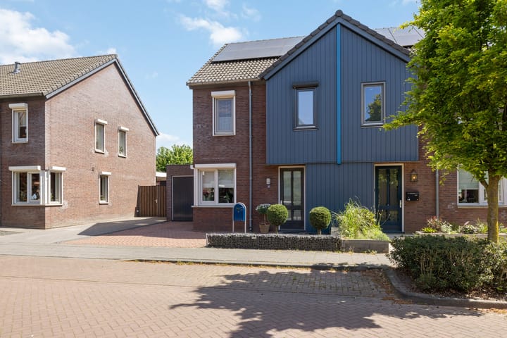 Foto 31 van Paardebloem 16