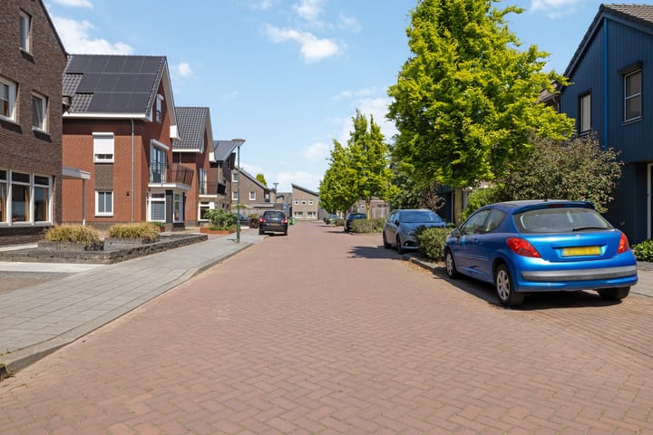 Foto 32 van Paardebloem 16