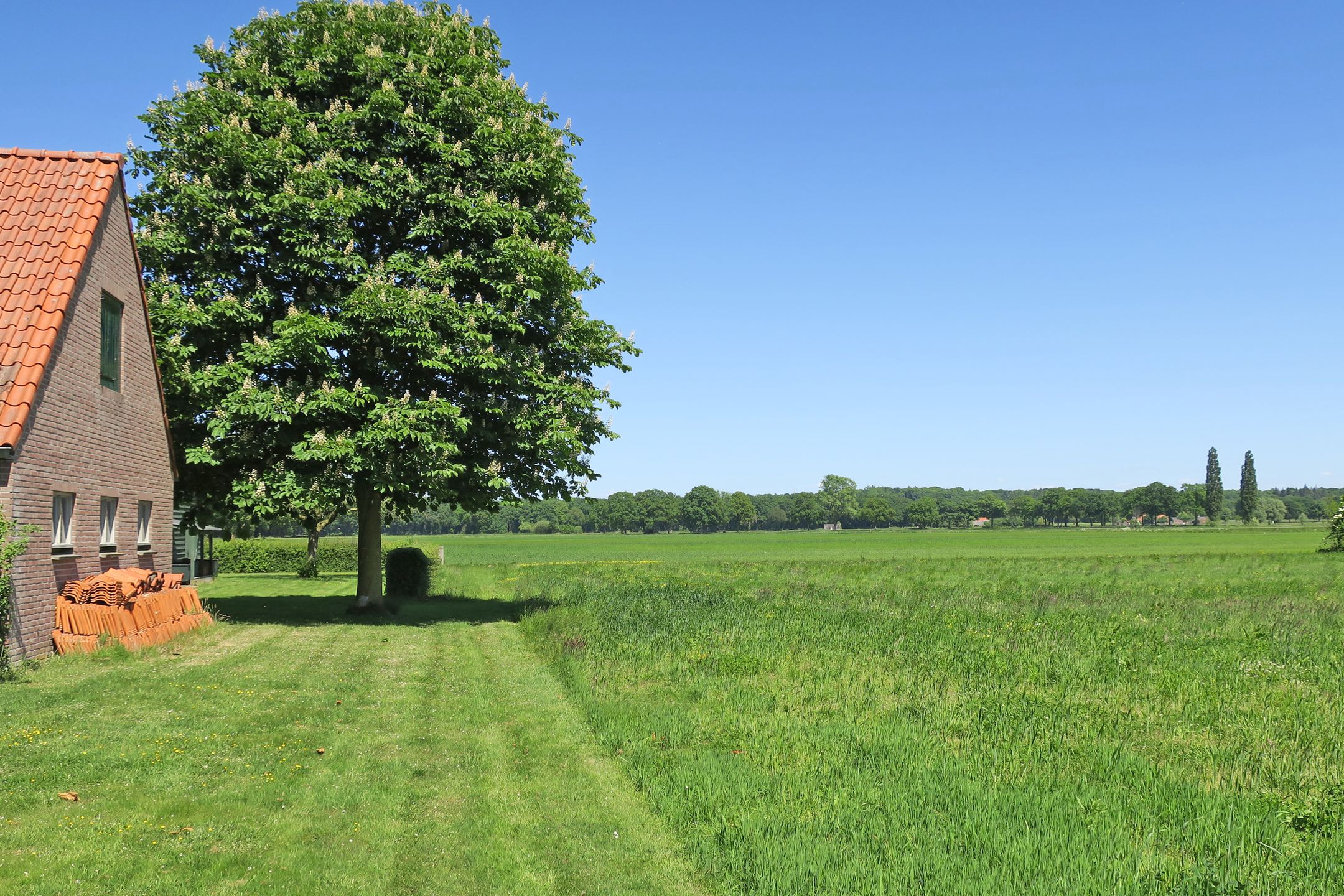 Foto 24 van Gageldijk 1