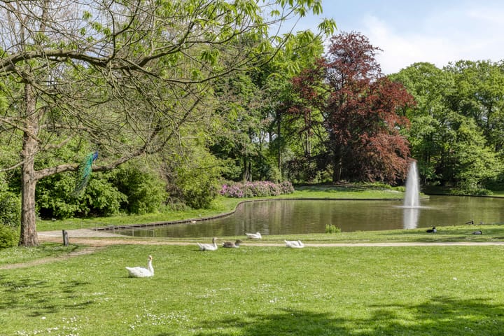 Photo 47 of Gronausestraat 40