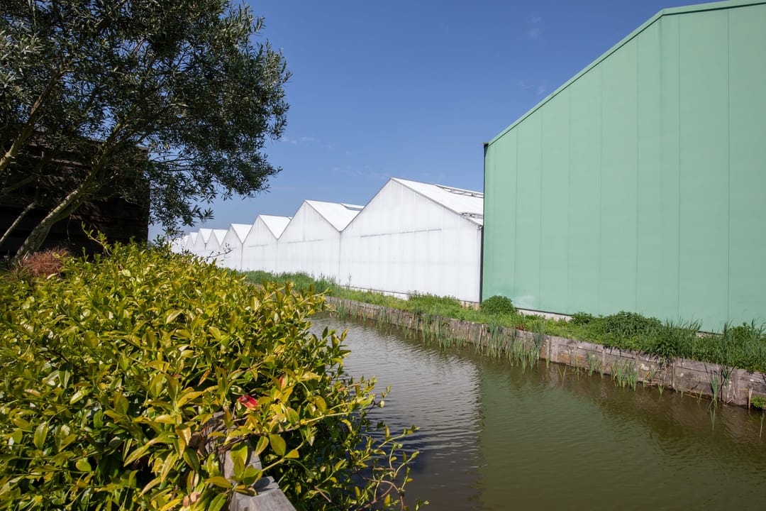 Photo 38 of Lisdoddestraat 32