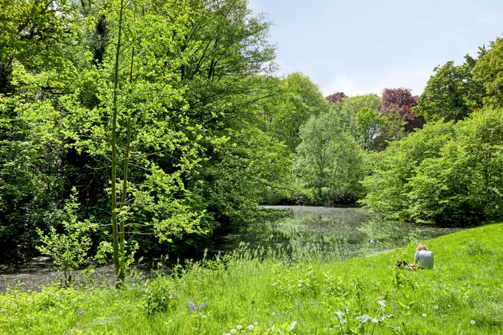 Foto 63 van Helper Westsingel 6