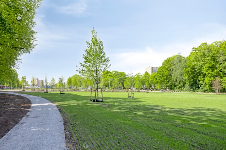 Foto 64 van Helper Westsingel 6