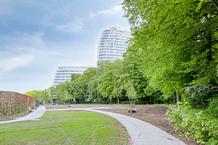 Foto 65 van Helper Westsingel 6