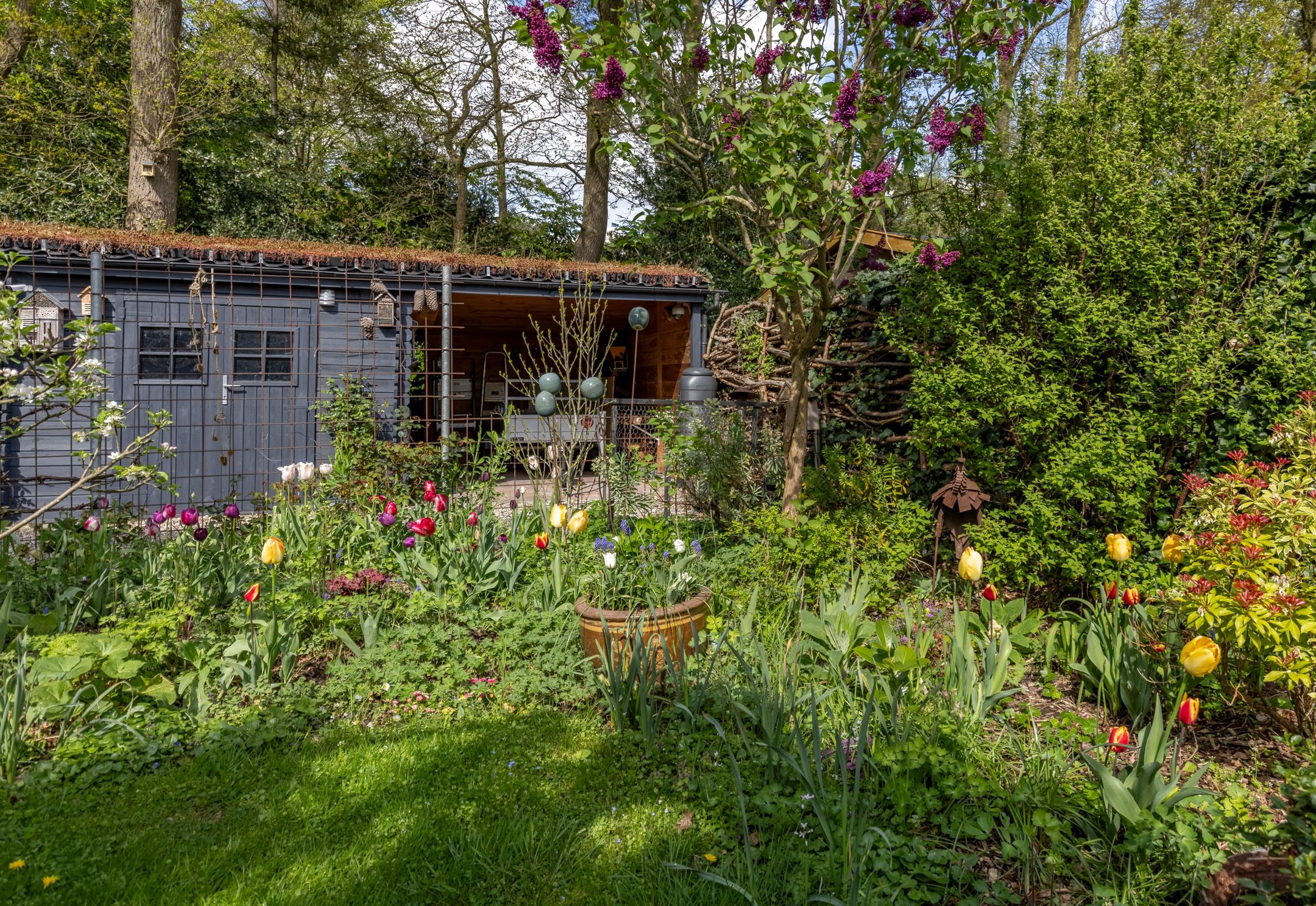 Foto 36 van Krepelsbosch 121