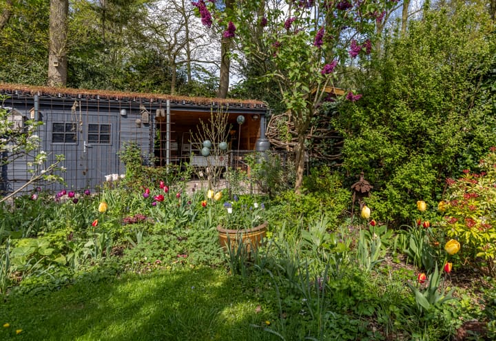 Foto 36 van Krepelsbosch 121