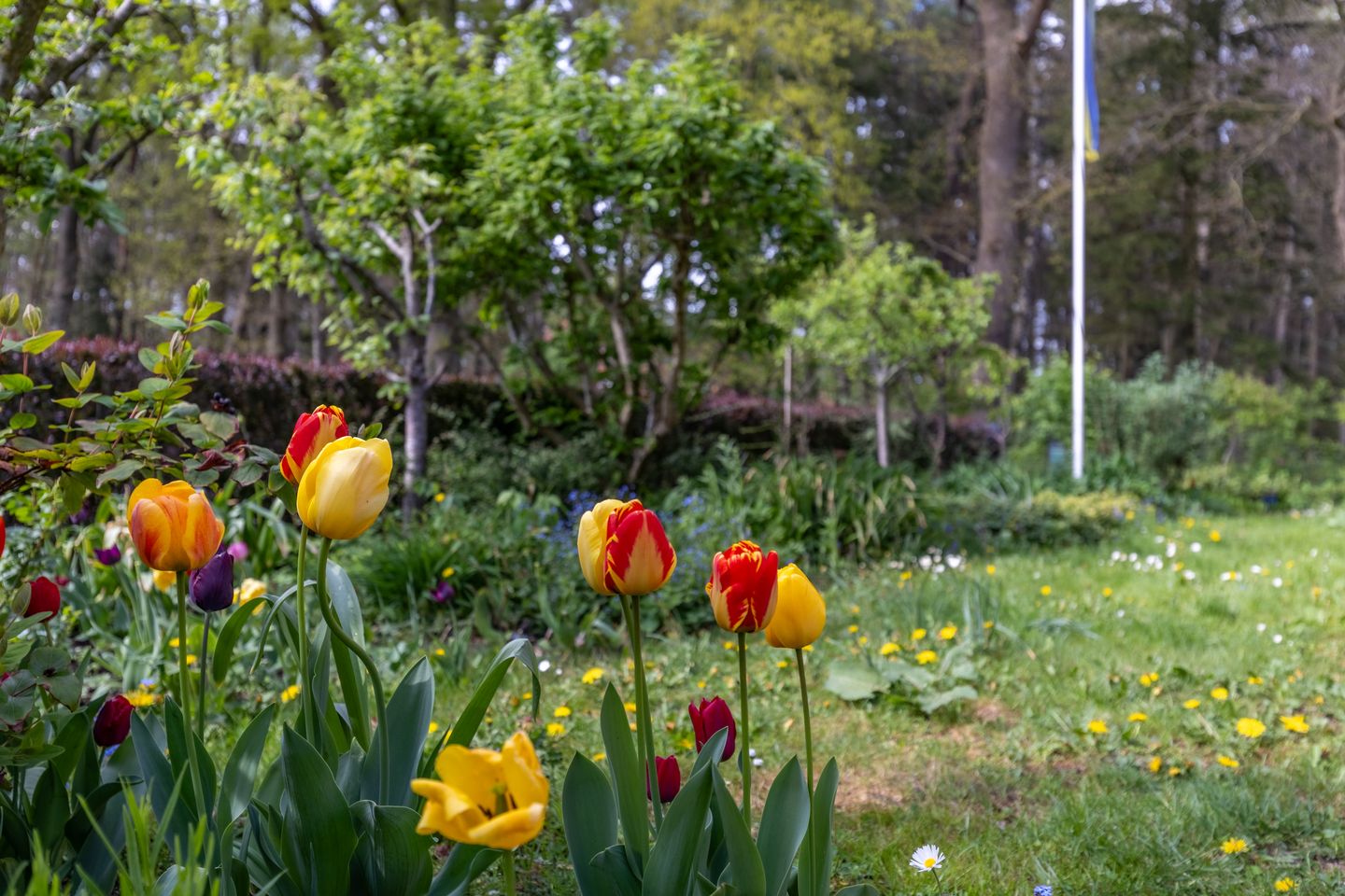 Foto 44 van Krepelsbosch 121