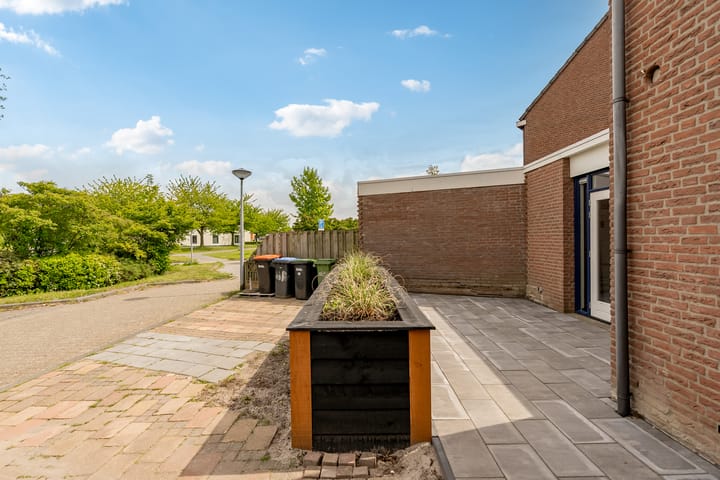 Foto 36 van Botter 40 60