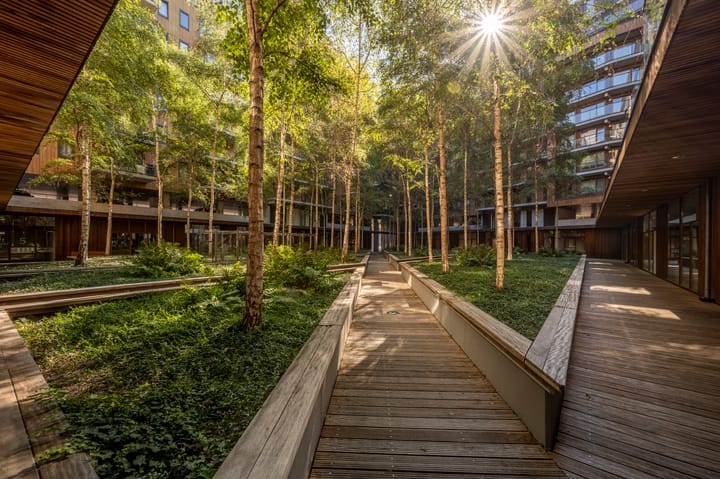 Foto 34 van Binnenrotte 361