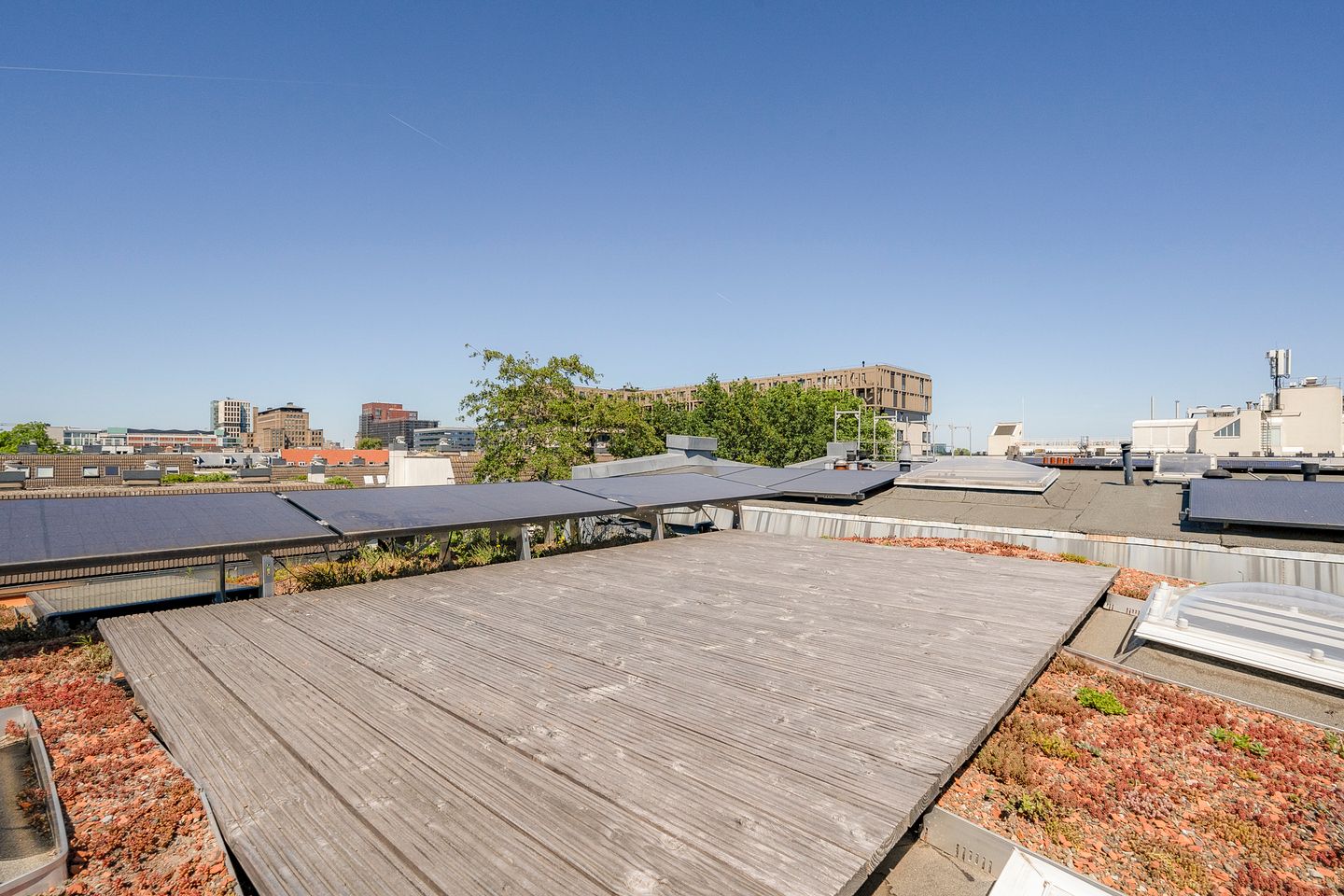 Foto 49 van Burmanstraat 15-2