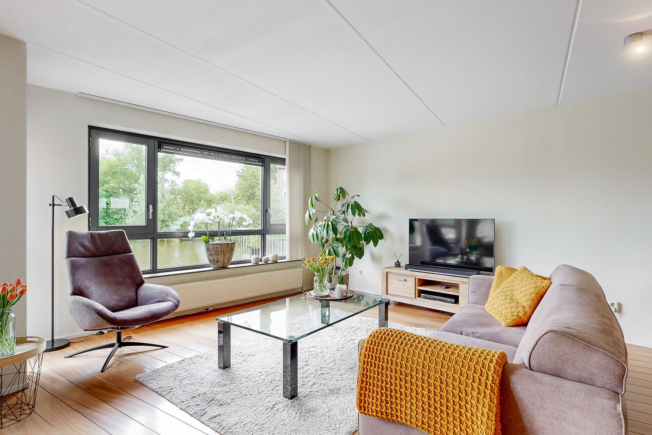 Foto 9 van Atalanta 46