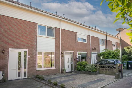 undefined main image