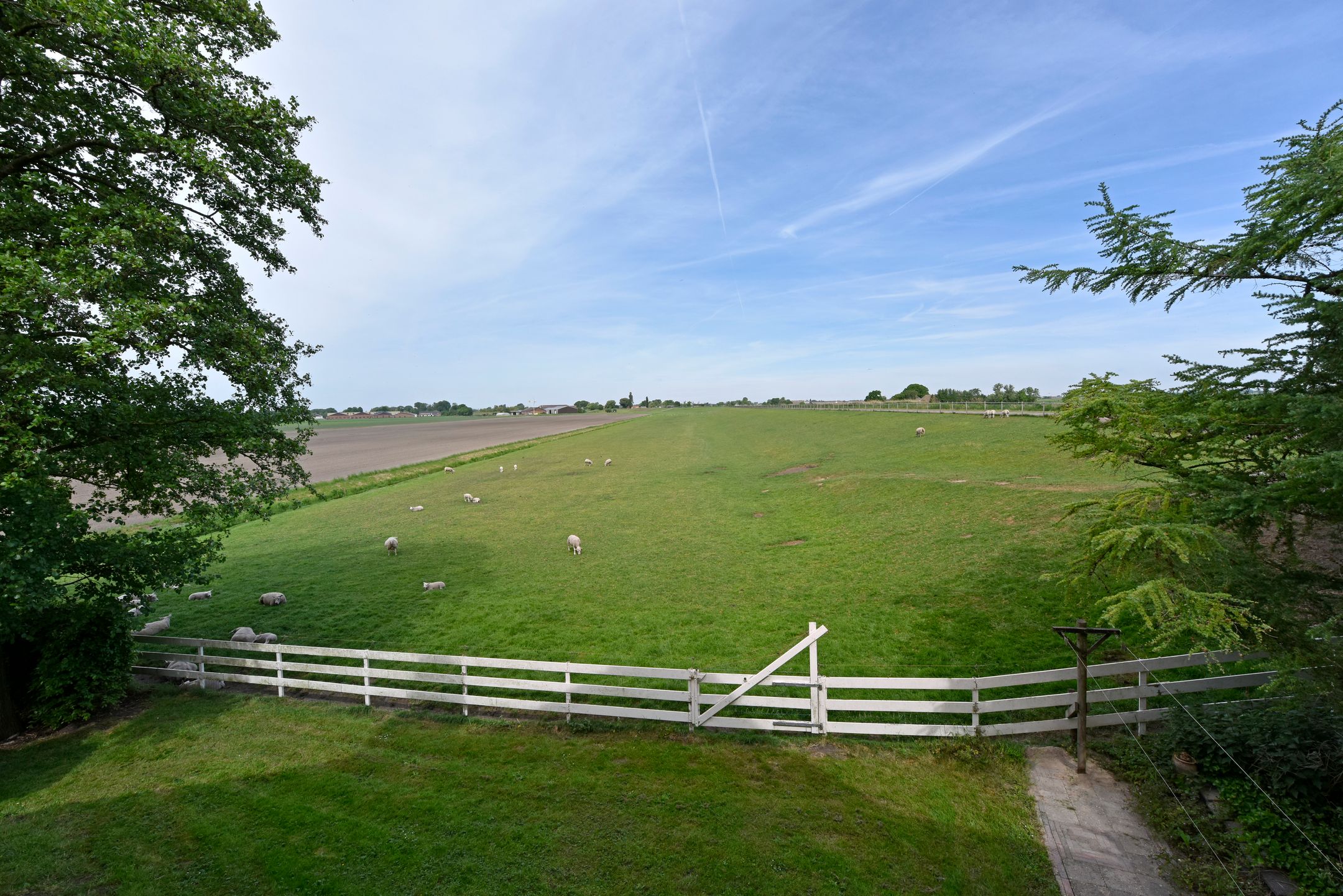 Photo 24 of Woudsedijk 18