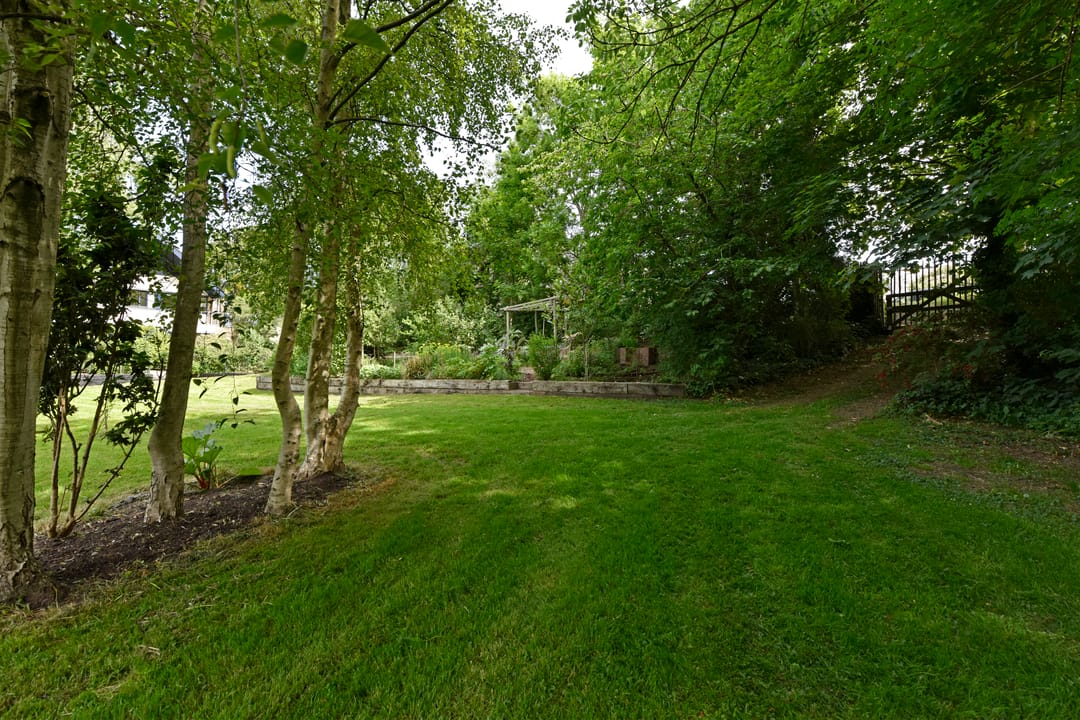 Photo 46 of Woudsedijk 18