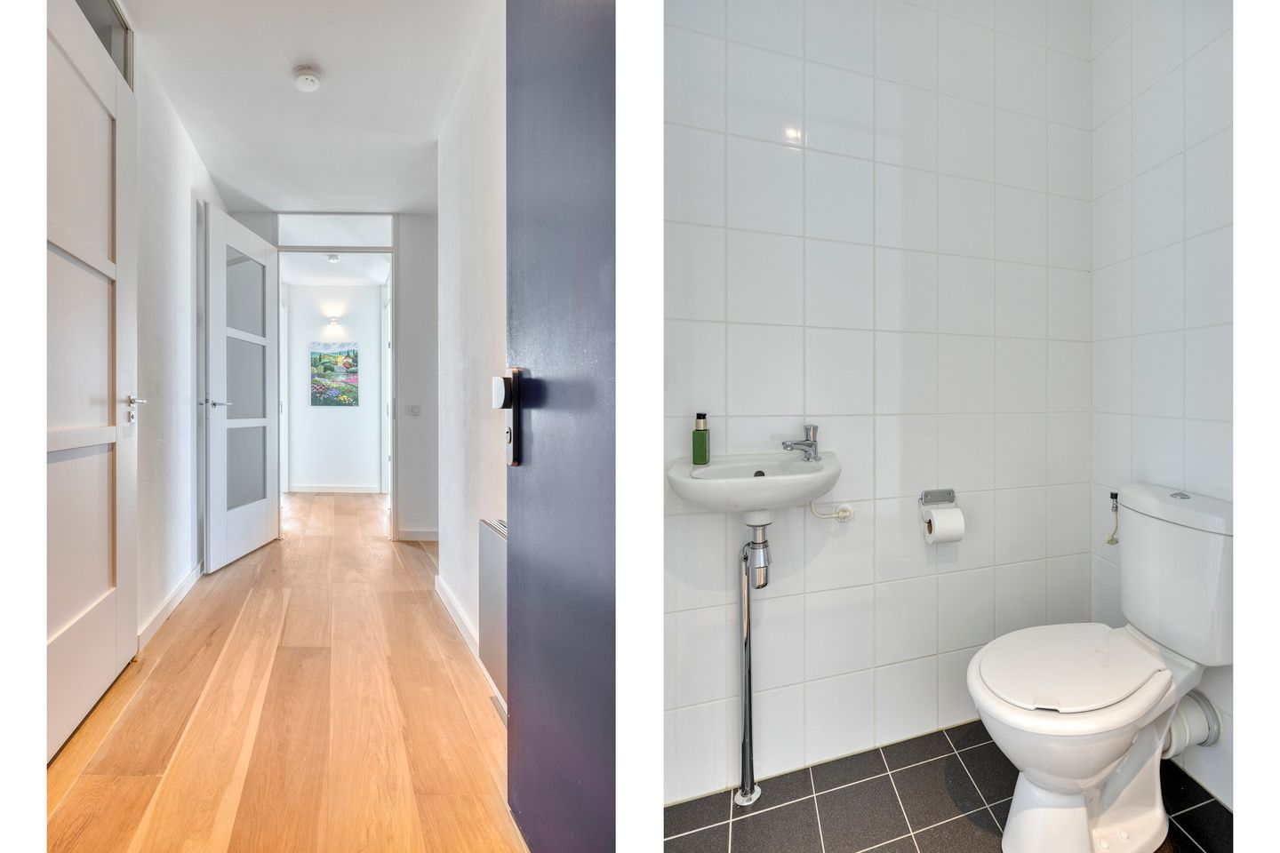 Foto 19 van Forel 224