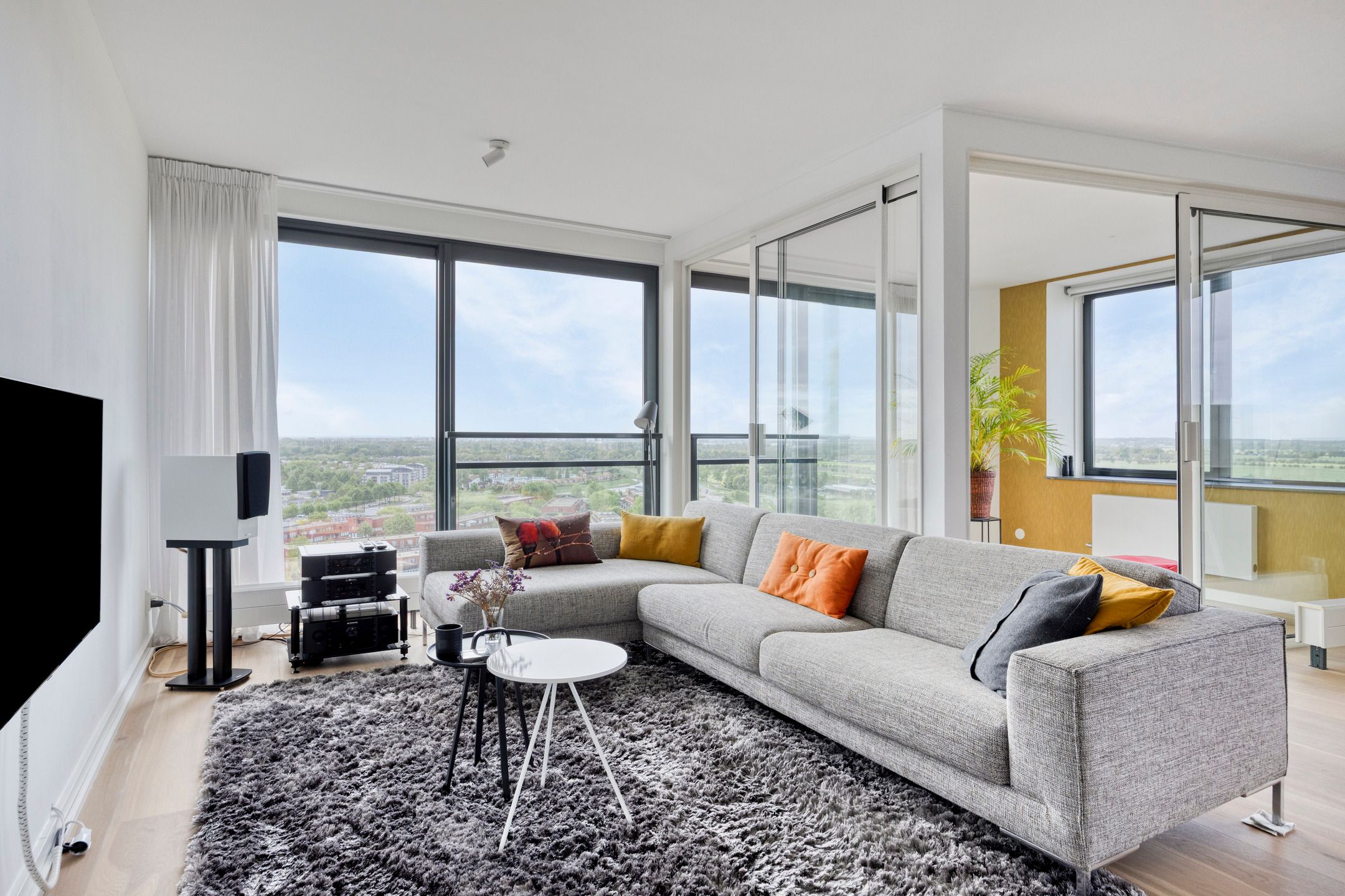 Foto 3 van Forel 224